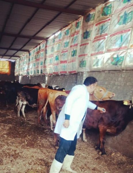 90618edd Cb97 409c A964 F588d6bd6ec6