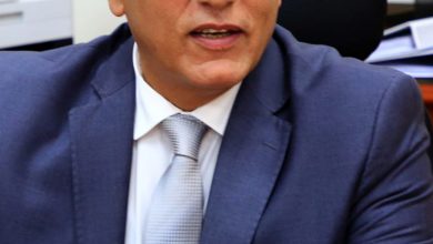 D380834d E016 4f0d Bab5 D163892db4cd