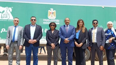 E561579d Da78 4795 Ac02 13adaabbc496