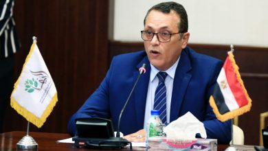 9e1083c8 5831 4fa8 Bb5c 8bfa290210a7