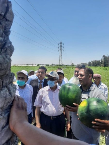 Af616be8 D75b 4009 9b79 93200a132e4c