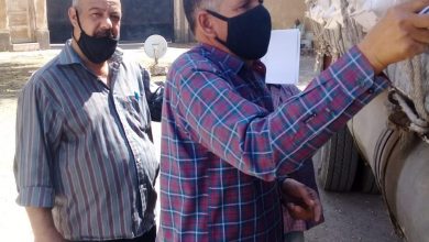 D17c1638 1e7e 4a77 8afe F6ad785efe8c