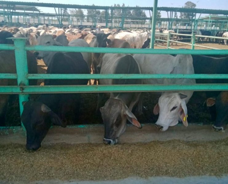 9d538c06 2fef 456f B2f3 Cd46e045a67d