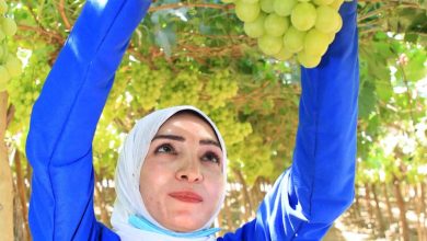 Bd244d08 1f76 4920 A848 119ab3560a3e