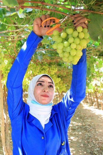 Bd244d08 1f76 4920 A848 119ab3560a3e