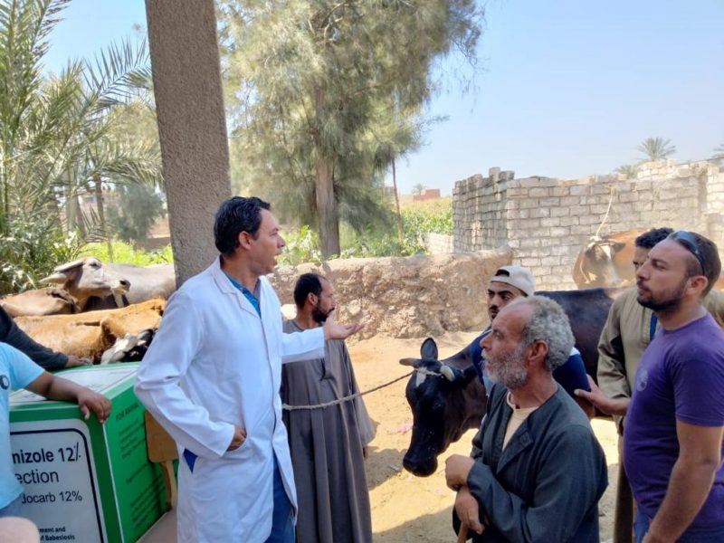 5384ea8f 082d 4e57 Ade0 5133ddafb4ab