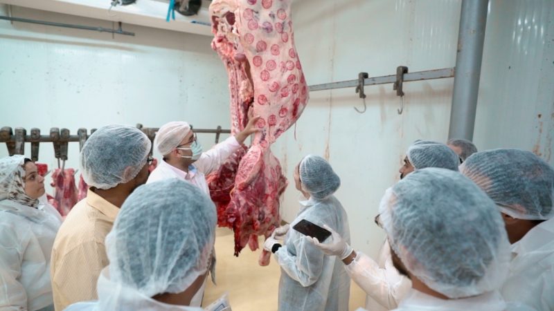 985d14c0 B94a 4973 85fa 5789536d55ca