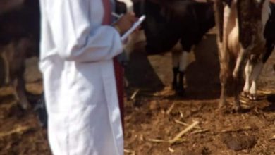 Dcbc2be6 Afd7 4f5b 8820 5a4005cc0e23