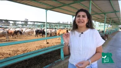 D27e5b8e 3c21 4191 9783 00a0d623d5cd