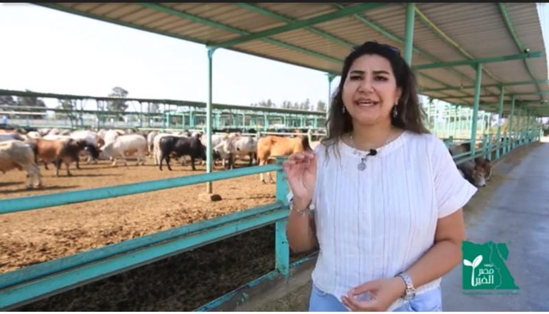 D27e5b8e 3c21 4191 9783 00a0d623d5cd