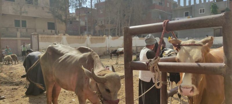 0c512e42 461f 4831 Ae01 7ae2a86a12a5