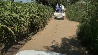 0eab48de 0983 4e63 8f7c Ba9e2a2a91a1