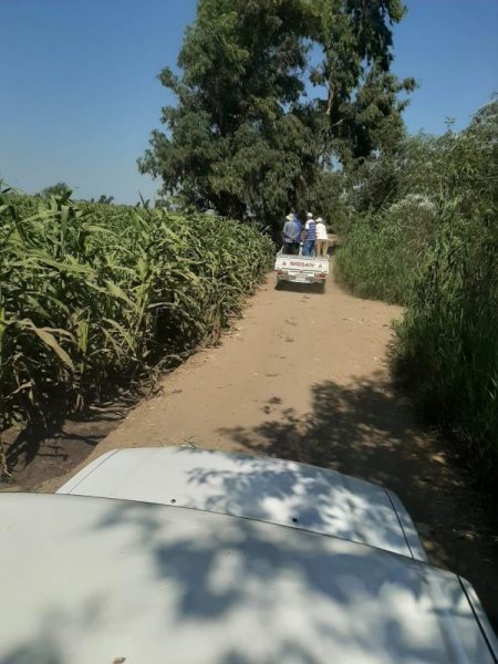 0eab48de 0983 4e63 8f7c Ba9e2a2a91a1