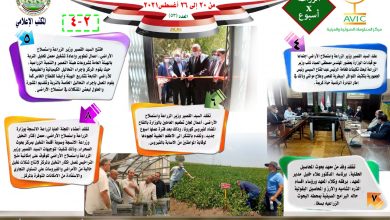 54b2eda6 7740 40f2 815b 4beed0fd0531