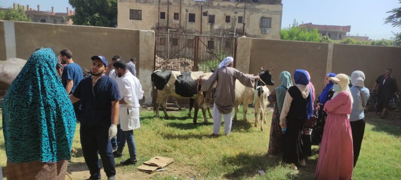 6e5d0366 718c 4219 8afb 021d6d8cb711