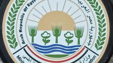 6f247152 8269 4b98 A664 41213a7698b7