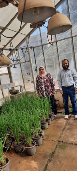 91c30de8 79f5 45fc 9bb9 4a43b1884a73