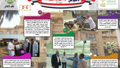 96586964 83db 424b 9b60 3910f64e2f96