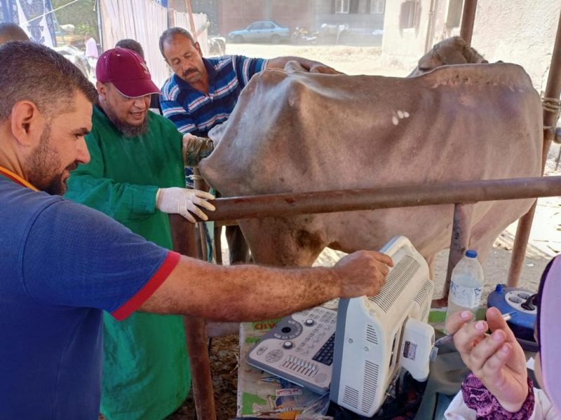 98612320 1298 4659 Be37 Fa346aa0e5f3