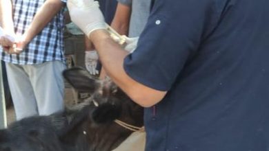 Ae12b21a 2ecd 4a38 B92e 89d9526e60b2