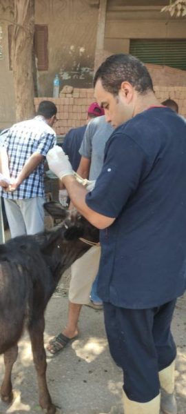 Ae12b21a 2ecd 4a38 B92e 89d9526e60b2