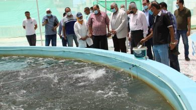 B7fbcef1 00e7 42a5 Ae9e 46f2c0a214d2