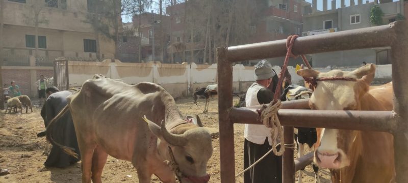 D56777d8 A781 45f4 B981 2dd55420327e