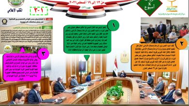 Ef9b3194 24d8 4242 B06b D41a95f2f8a9