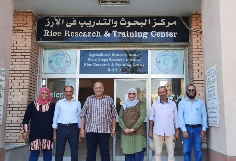 73b86841 C04e 4155 8153 D57732665d03