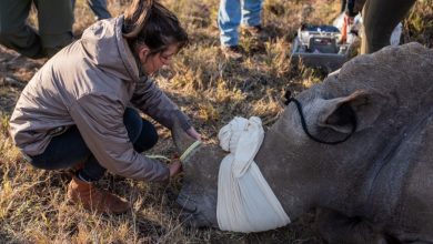 ٢٠٢١٠٩٢٣ ١١٢٤٠٨