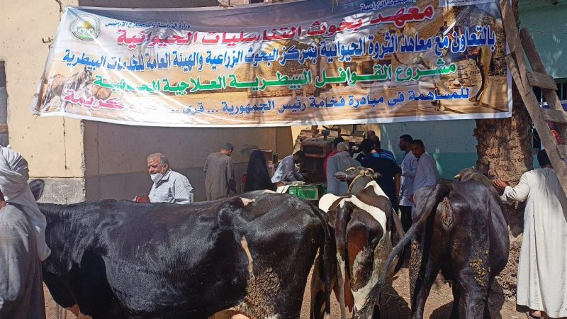 3bc26590 C786 443f A8b8 75256936f800