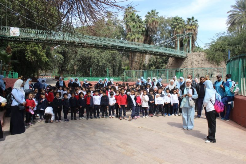 4938ed26 4013 46f6 85f3 C36531f989d9