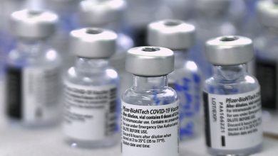 66f30bf1 49db 4a83 939b 6f8a47a102cc