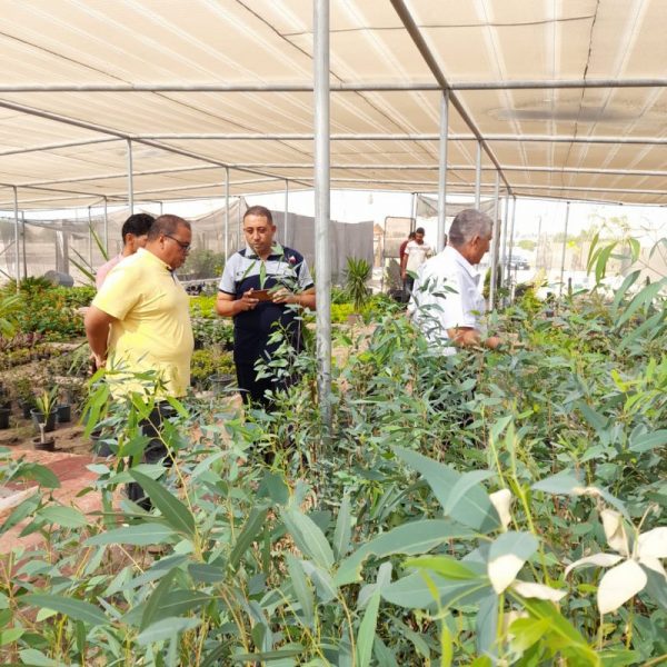 6dd3ca1a E064 42fa Ada5 Fbde2104e5ef