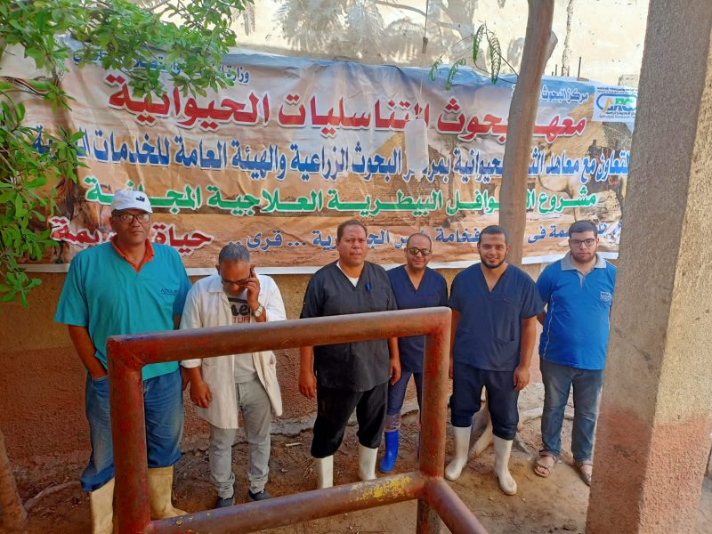 7ef2cbdc 29ca 44c3 947f Fcc6cf121dc3