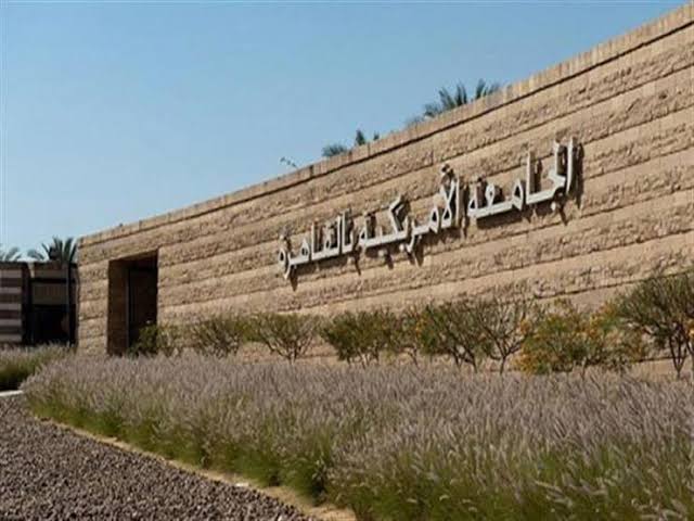 B08b1991 D419 498b 9f18 D5f53c8da62a