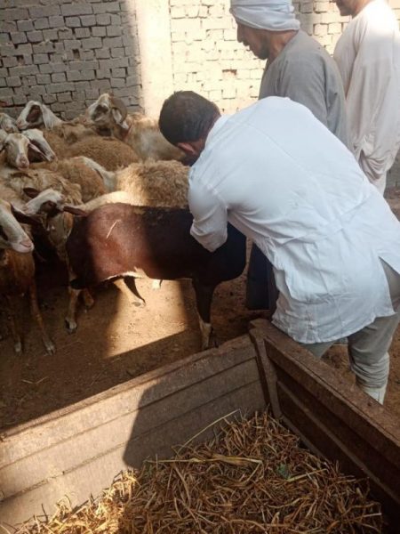 D76ffb14 A330 413a B0b7 63fc6ae8738f