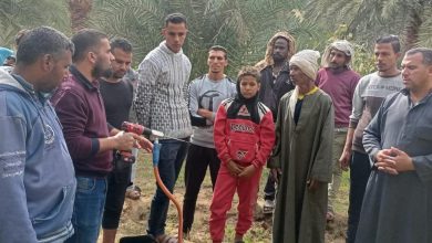 Ebb4c9cd 3e5e 4f0a A764 Ad7221c308dd