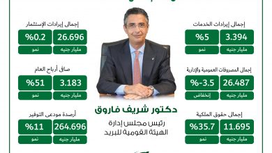 تصميم الأرباح 3