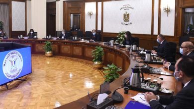 270301957 305489604954800 6842281617630504412 N