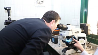 4c13caea 2bae 4a72 B0c1 E9e037f57192