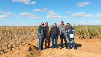 9b56a751 E60d 4588 90d7 D7c06b1d494e