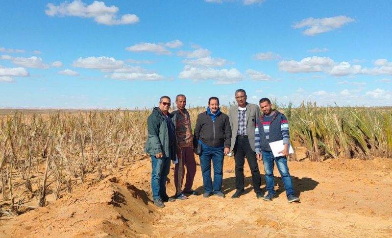 9b56a751 E60d 4588 90d7 D7c06b1d494e