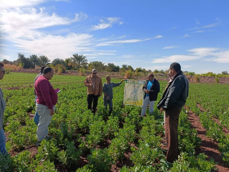 C0a0062e 0c8e 4a17 B449 F9a80a0900e8