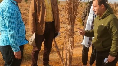 E2391269 74c7 440b 8146 Dda505e8f364