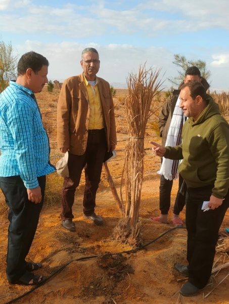 E2391269 74c7 440b 8146 Dda505e8f364