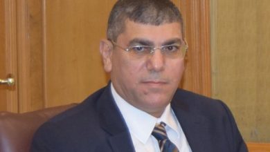 ابو الفتوح مبروك نائب رئيس شعبة الدواجن