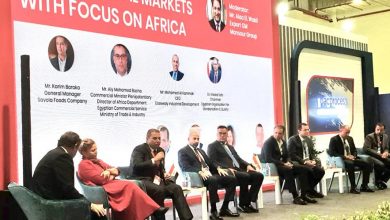 جلسة سبل تعزيز التعاون في افريقيا