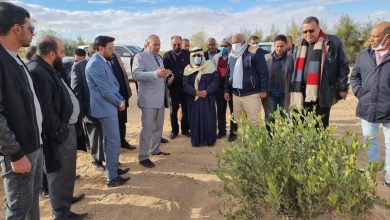 14ed80e6 Fd0c 473e 8abe Cf1cf0224048