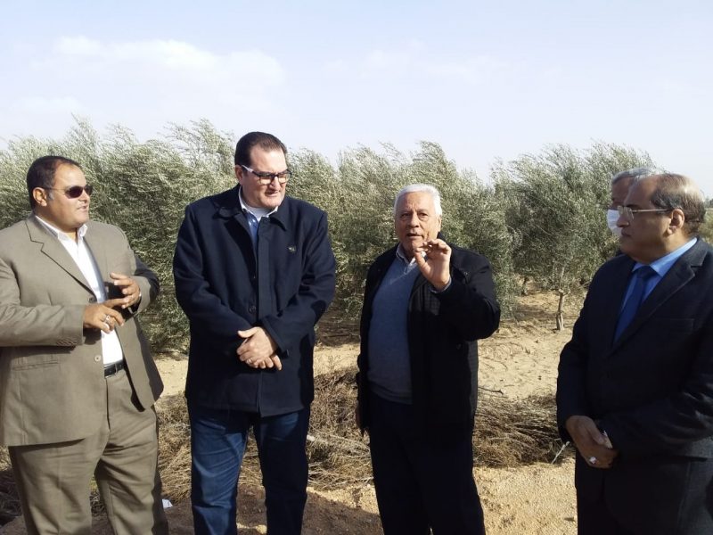 3e5364b7 9b1c 4339 Ba48 4d8a1b7c413a